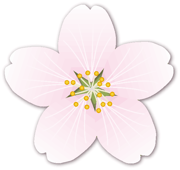 桜の花のイラスト コピペできる無料イラスト素材展