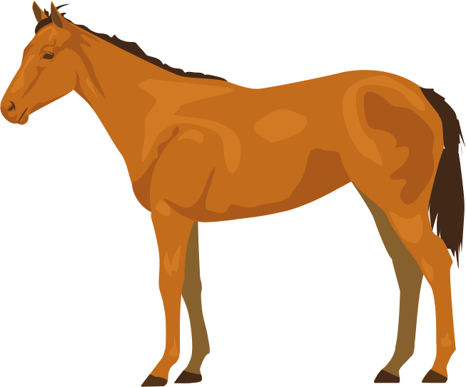 スマートな馬であるサラブレッドのイラスト