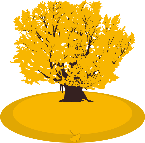 晩秋に黄葉したイチョウの巨木のイラスト