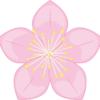 桃色の桃の花のイラスト