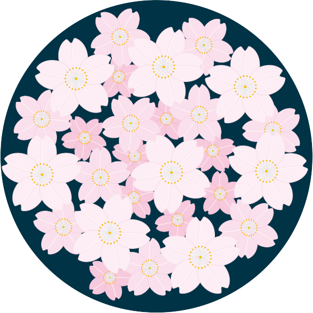 夜桜のイメージのイラスト