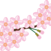 桜の枝で咲き誇っている花のイラスト