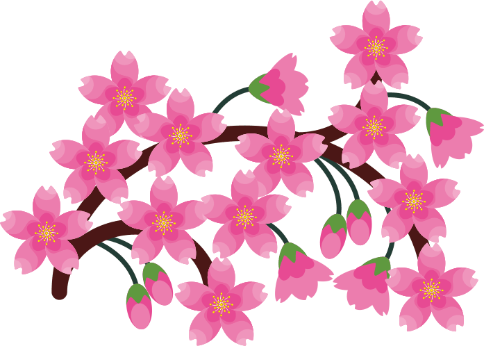 花盛りの桜のイラスト