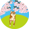 桜の花を見上げている可愛い子犬のイラスト