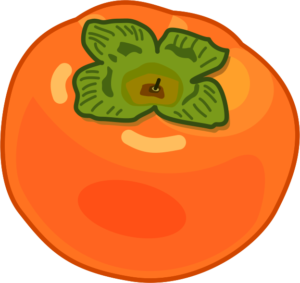 光沢のある柿の果実のイラスト