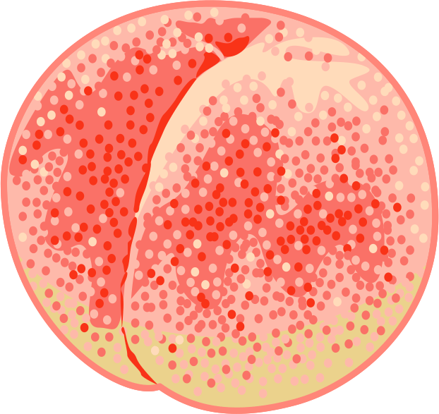 熟れた桃の果実のイラスト