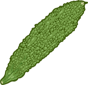 イボに覆われた緑色の外観のニガウリのイラスト