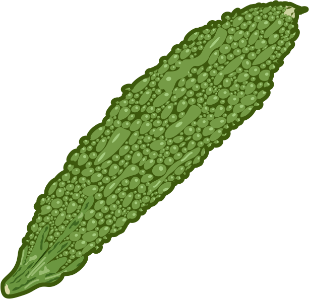 イボに覆われた緑色の外観のニガウリのイラスト