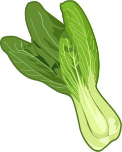 緑黄色野菜でβ-カロテンが豊富なチンゲンサイのイラスト