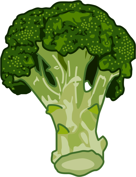 蕾と茎を食用とするブロッコリーのイラスト
