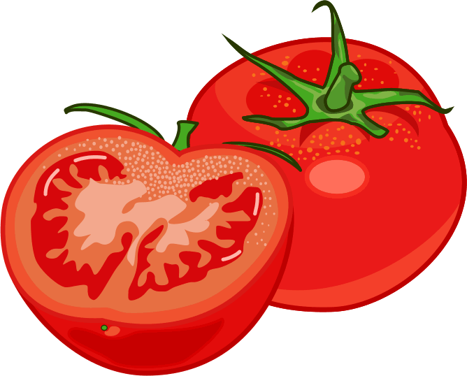 サラダに彩りを添える熟したトマトのイラスト