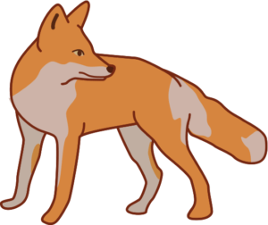後ろを見ているキツネのイラスト