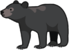 大きな黒いクマのイラスト。