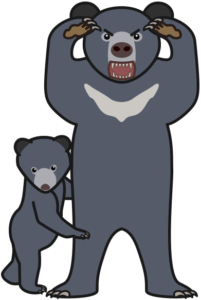 子熊を守るために威嚇する母熊のイラスト。