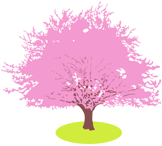 満開の桜の木のイラスト。