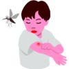 蚊に血を吸われた男の子のイラスト