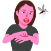 蚊に手の甲を刺された女性のイラスト