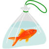 お祭りの景品の金魚のイラスト