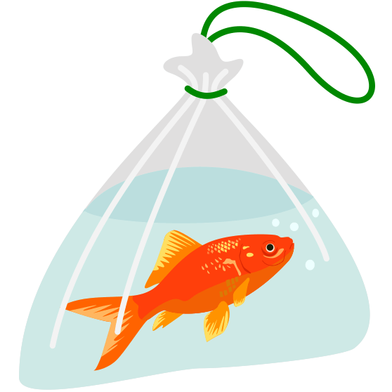 お祭りの景品の金魚のイラスト