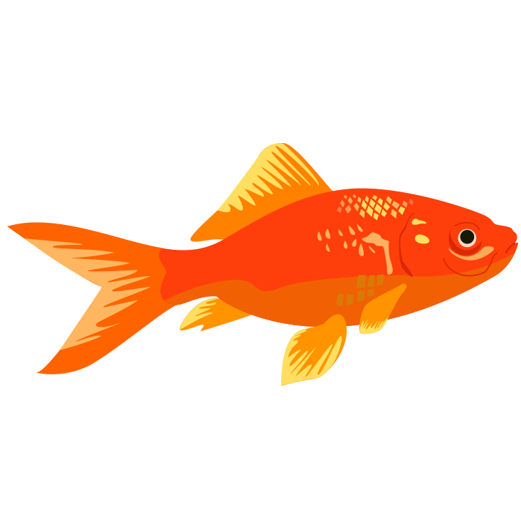 金魚のイラスト