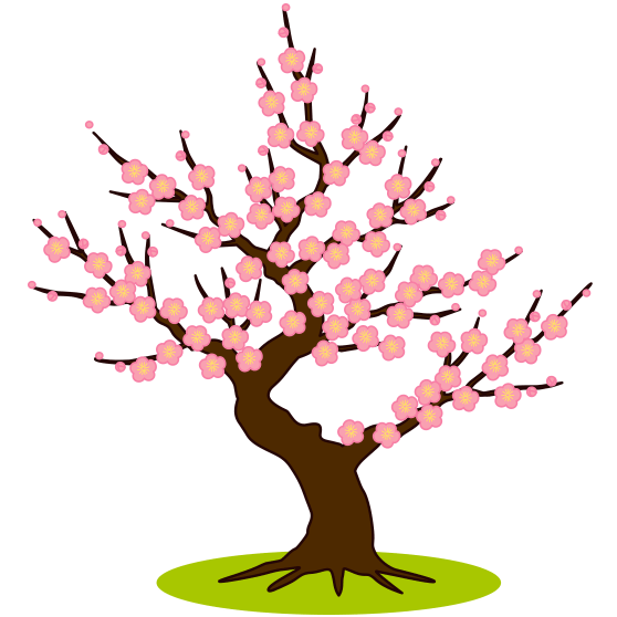 紅梅が咲き誇っている梅の木のイラスト