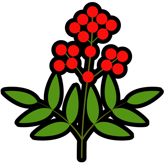 お正月を縁起物で彩る！南天（ナンテン）のシンプルなアイコン素材