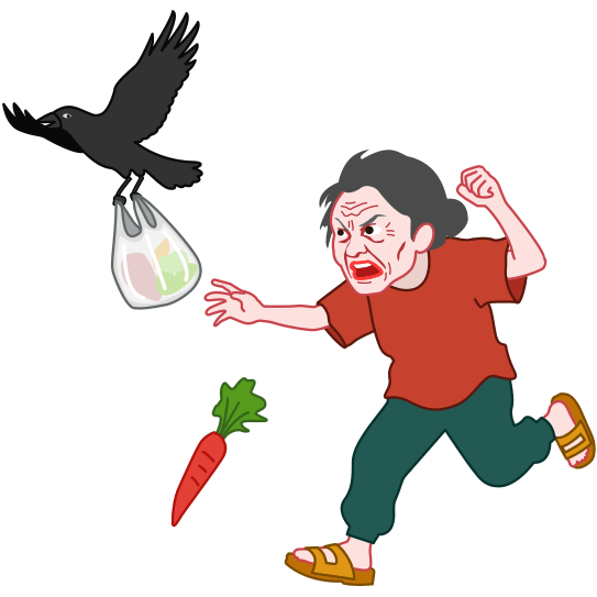 バーゲンで買った格安の食材をカラスに盗まれたお婆さんのイラスト