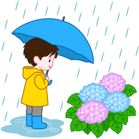 雨降りに傘をさしてアジサイの花を見つめている少年のイラスト