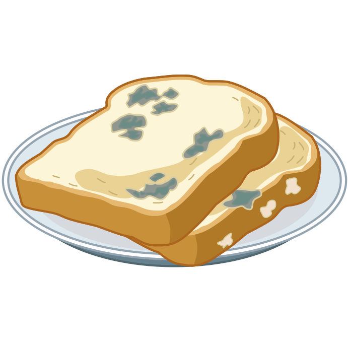 梅雨時に、皿の上にカビの生えた食パンがのっているイラスト