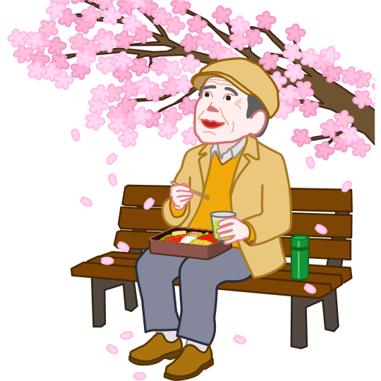 一人花見（ソロ花見）を楽しんでいる老人のイラスト