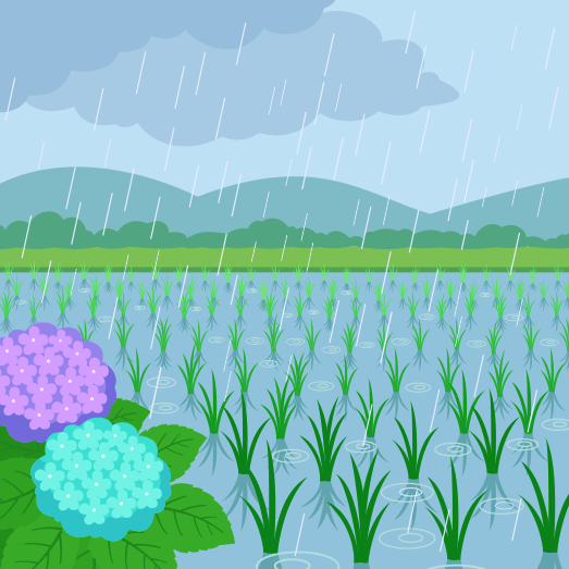 雨降り（梅雨）の水田風景のイラスト