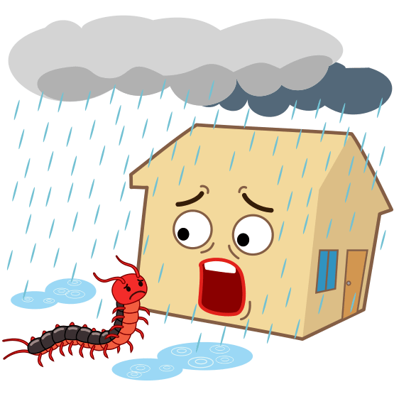 雨（梅雨）から避難するため人家に入ろうとしているムカデのイラスト