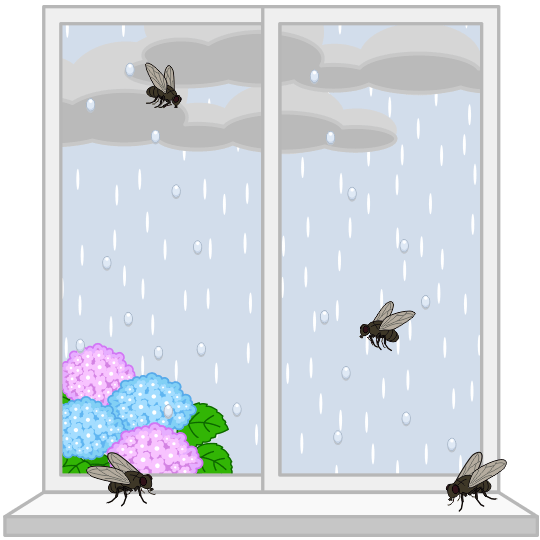 梅雨時に増えるうっとうしい蠅のイラスト