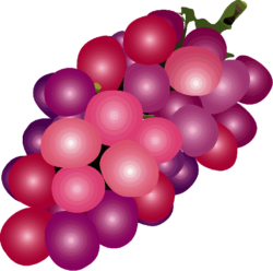 ブドウ