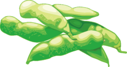 枝豆のイラスト エダマメ