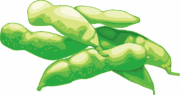 エダマメ