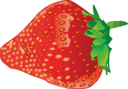 イチゴ