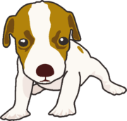 ジャックラッセルテリアの子犬のイラスト