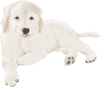 眠そうな子犬 眠そうな子犬のイラスト