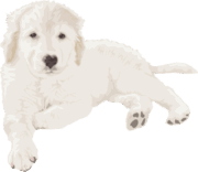 眠そうな子犬のイラスト