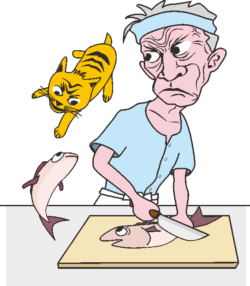 板前の爺さんのイラスト 板前爺