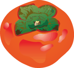 赤く熟した柿 赤く熟した柿のイラスト画像