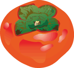 赤く熟した柿のイラスト画像