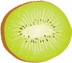 半切りのキウィフルーツのイラスト画像