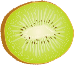 熟れたキウィフルーツ 半切りのキウィフルーツのイラスト画像