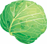 キャベツ