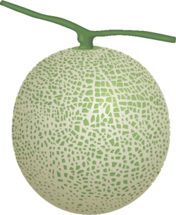 マスクメロン マスクメロンのイラスト画像