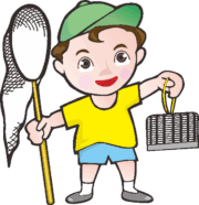 昆虫採集をしている男の子のイラスト
