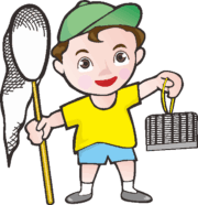 昆虫採集をしている男の子のイラスト