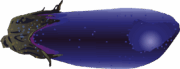 紺色のナスのイラスト